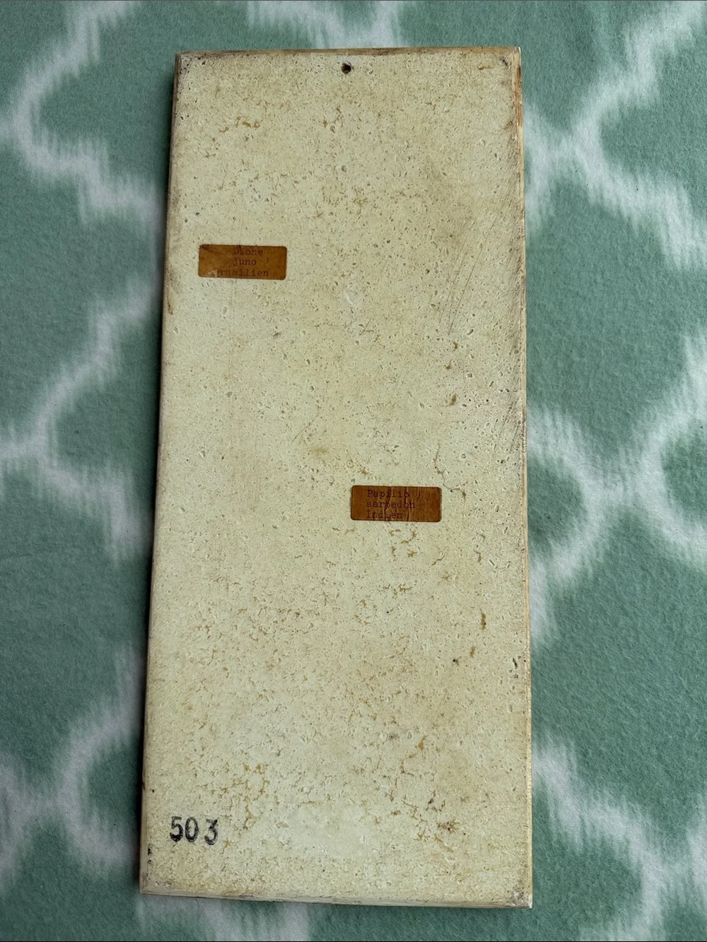 1970s Vintage Papilio and Juno Butterfly Resin Wall Art in Cream, Brown & Teal